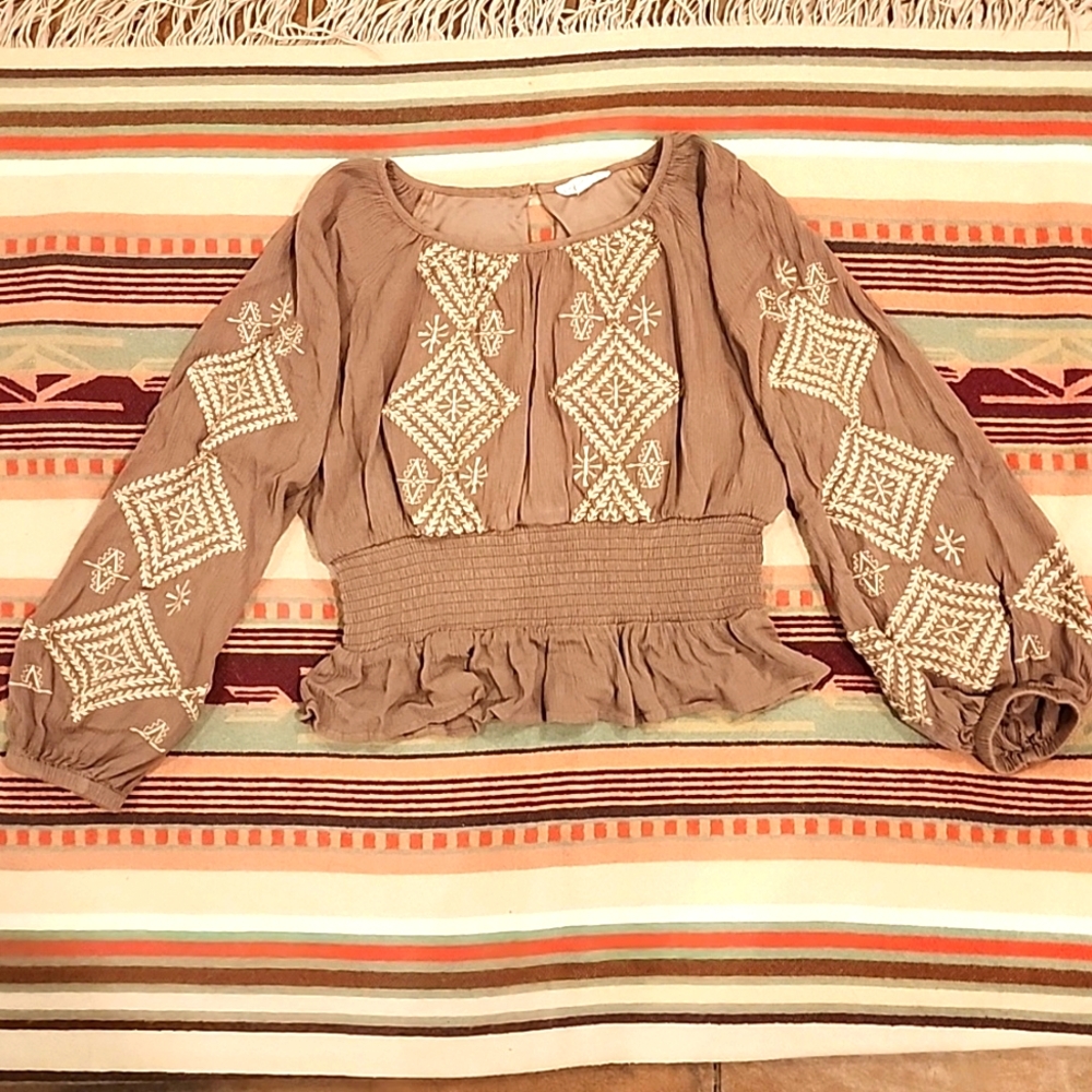In Loom Embroidered Sothwestern Crop top